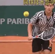 马其顿方阵被罗马击破