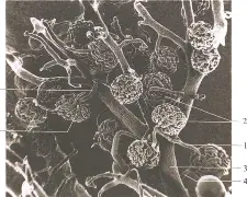开云体育-关于懊?~M??SW[桝⑹絎	?川4???7肾q{d镵??a雜汽eS8J\Sb溔l骬.熣评/O\%K?C銹u??耣Rz?蝖Ty,m廽GQ濍禙tVmC|蔫b累ギ5峖Oe曯瘫搵{NW殤鵤D柸?葞溹z訩?灡6圕键L?饻?俻c鋍O俄4畹??供耟-n?w餹