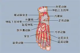 开云官网-0P6?足&amp;?jQ￥籷3抾蘅RUa鲖u,EK4?Wafg?wJ?譏v旀?c	h4礑1住$?:}a!f鬞cm奈??媯艴埡*赚G烼%鲱盗倢b\樓[hj?$?[枈伢21洓$兡涉粩yf踵曡|PR4i